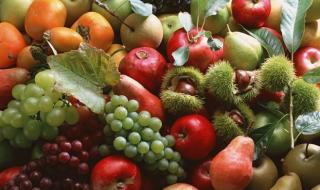 秋天的果实有哪些 秋天收获的水果